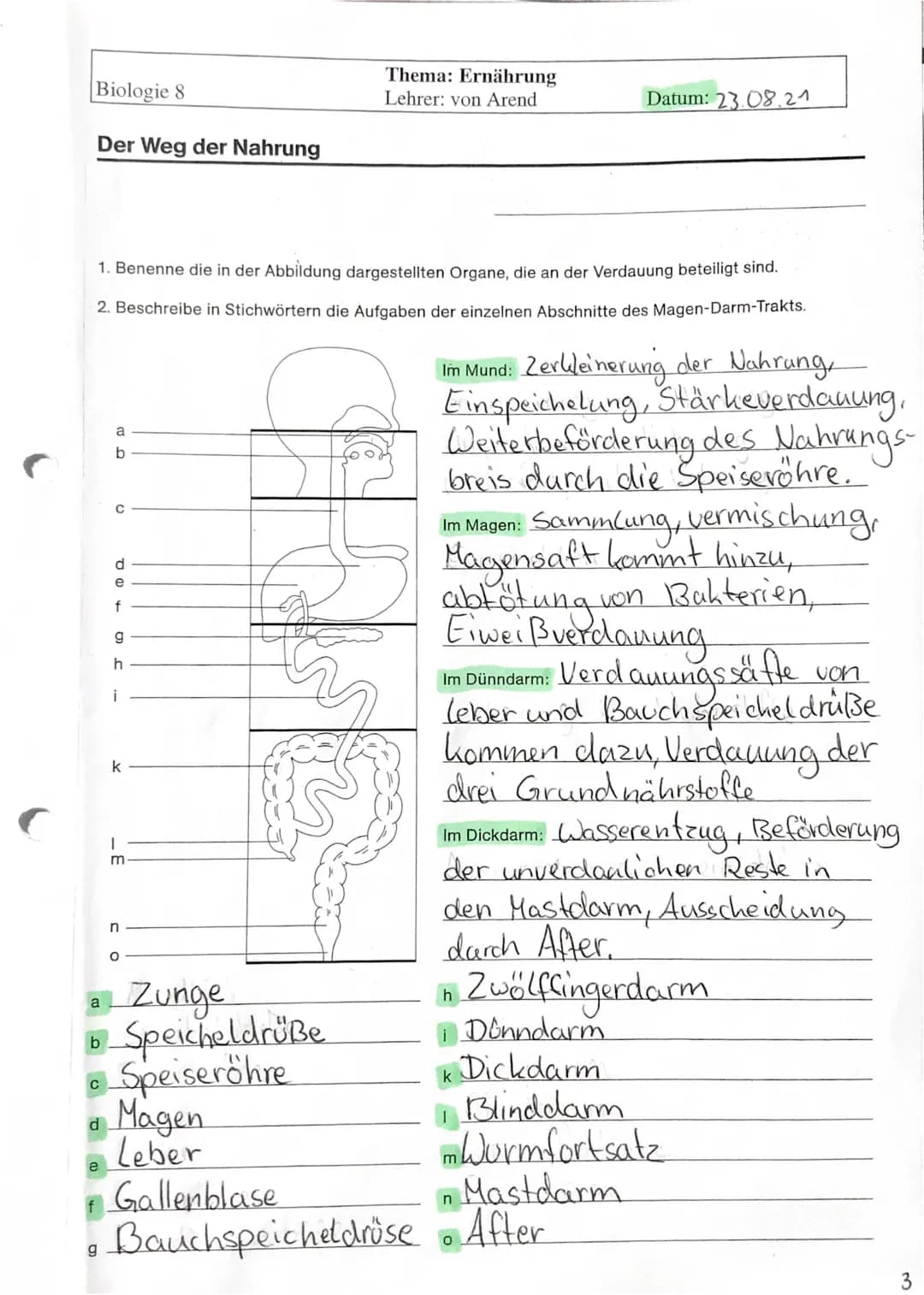 Der Weg der Nahrung 