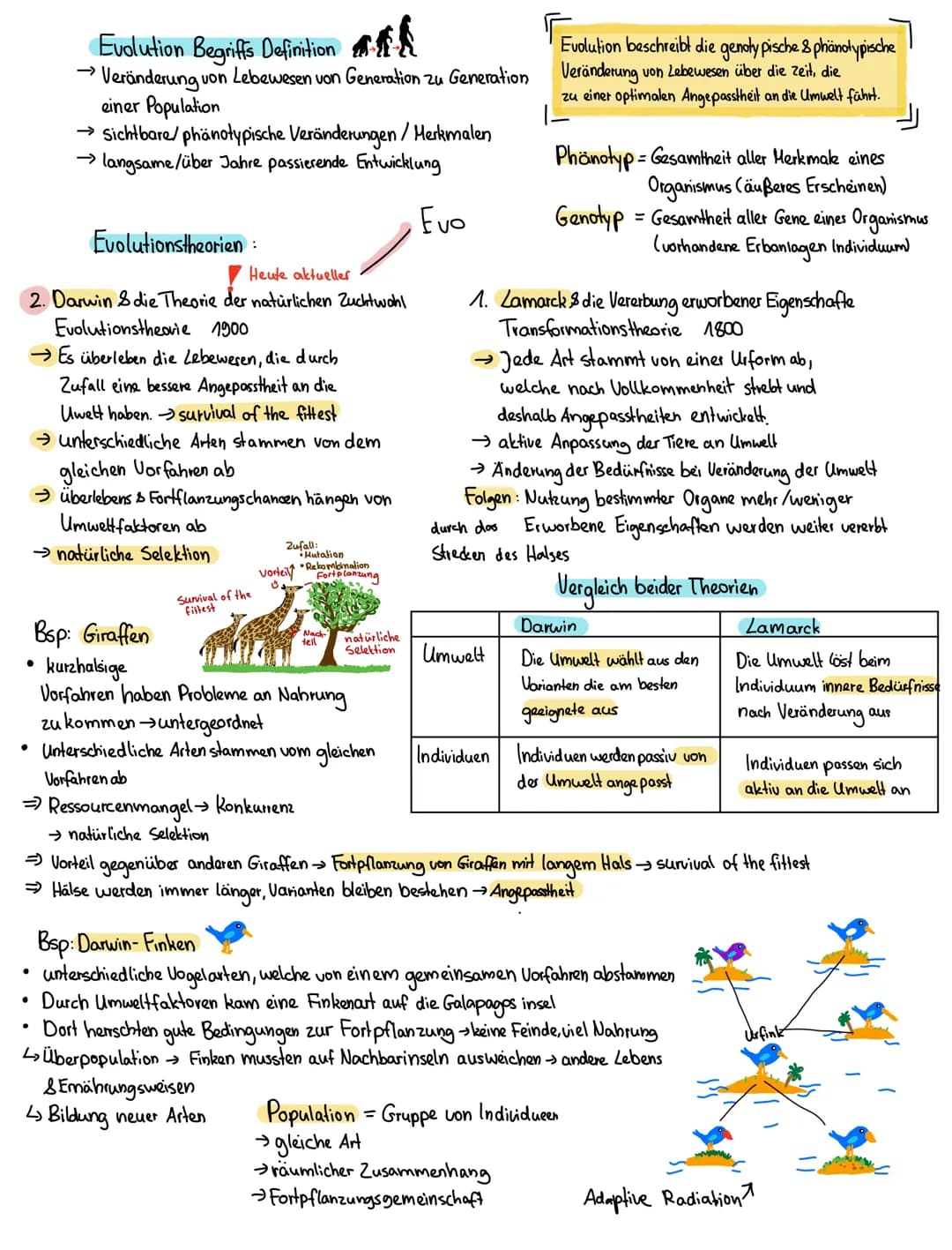 Evolutionstheorien:
Heute aktueller
2. Darwin die Theorie der natürlichen Zuchtwohl
Evolutionstheorie 1900
→ Es überleben die Lebewesen, die