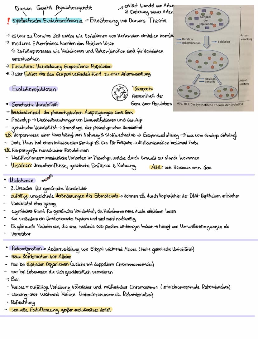 Evolutionstheorien:
Heute aktueller
2. Darwin die Theorie der natürlichen Zuchtwohl
Evolutionstheorie 1900
→ Es überleben die Lebewesen, die