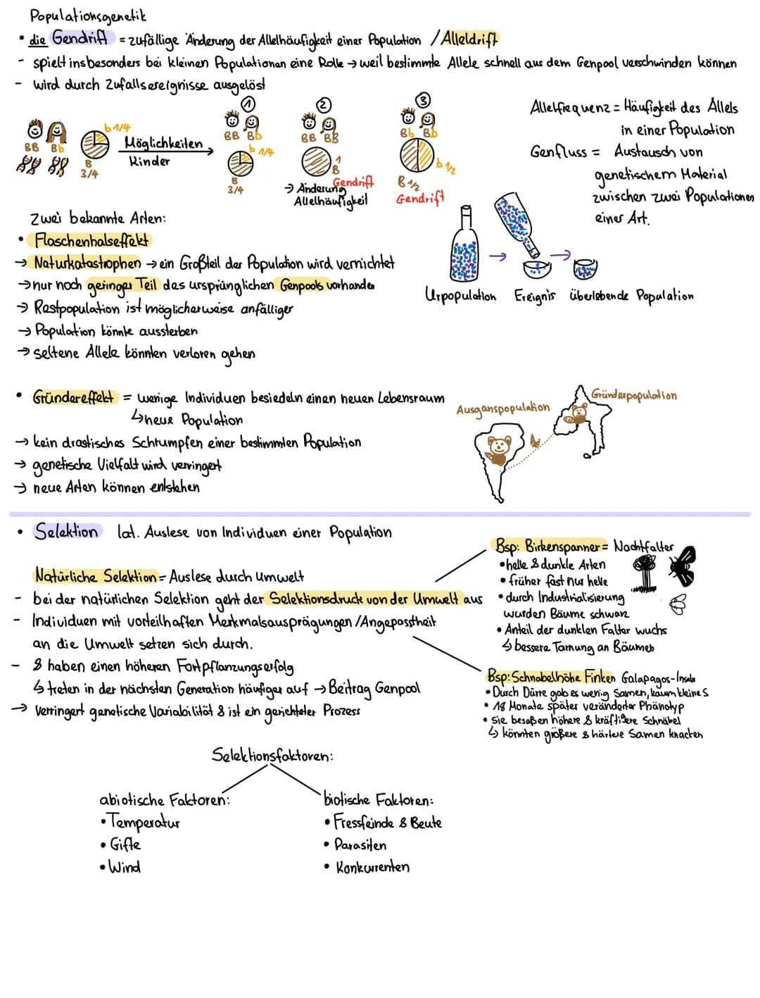 Evolutionstheorien:
Heute aktueller
2. Darwin die Theorie der natürlichen Zuchtwohl
Evolutionstheorie 1900
→ Es überleben die Lebewesen, die