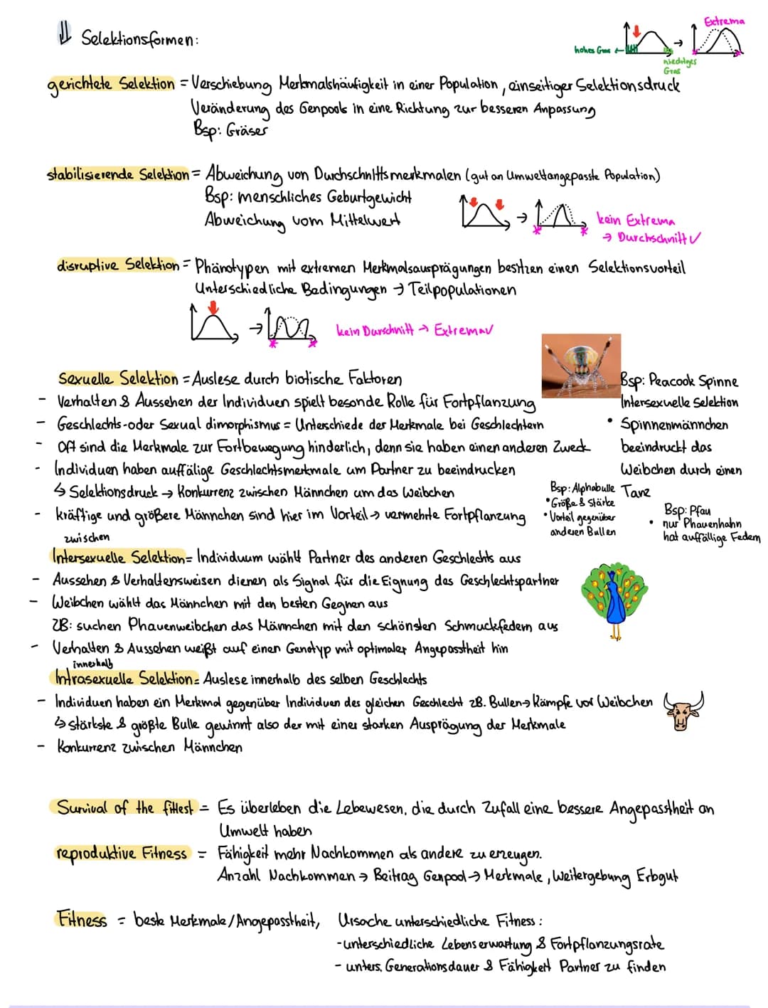 Evolutionstheorien:
Heute aktueller
2. Darwin die Theorie der natürlichen Zuchtwohl
Evolutionstheorie 1900
→ Es überleben die Lebewesen, die
