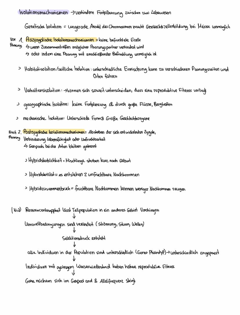 Evolutionstheorien:
Heute aktueller
2. Darwin die Theorie der natürlichen Zuchtwohl
Evolutionstheorie 1900
→ Es überleben die Lebewesen, die