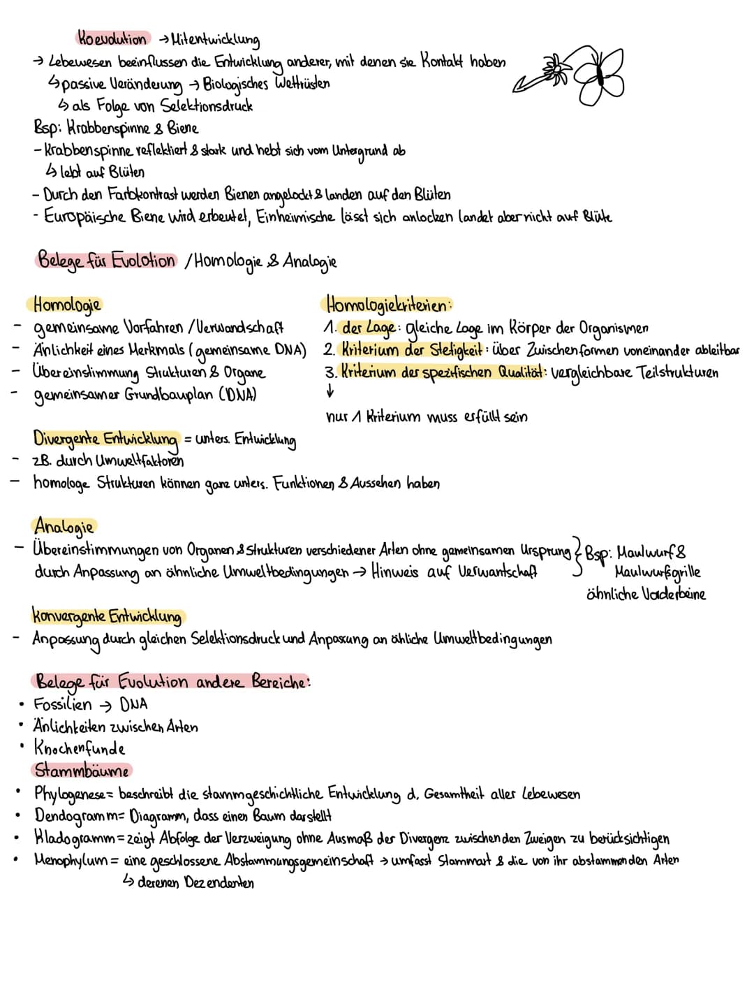 Evolutionstheorien:
Heute aktueller
2. Darwin die Theorie der natürlichen Zuchtwohl
Evolutionstheorie 1900
→ Es überleben die Lebewesen, die