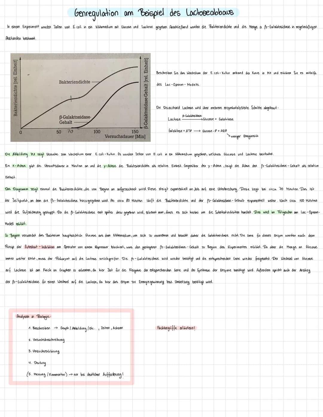 Regulatorgen
Repressor
(kann direkt altiv
oder inalativ sein)
DNA
mRNA
Trans-
kription
mn
Translation
Regulatorgen Promotor Operator Struktu