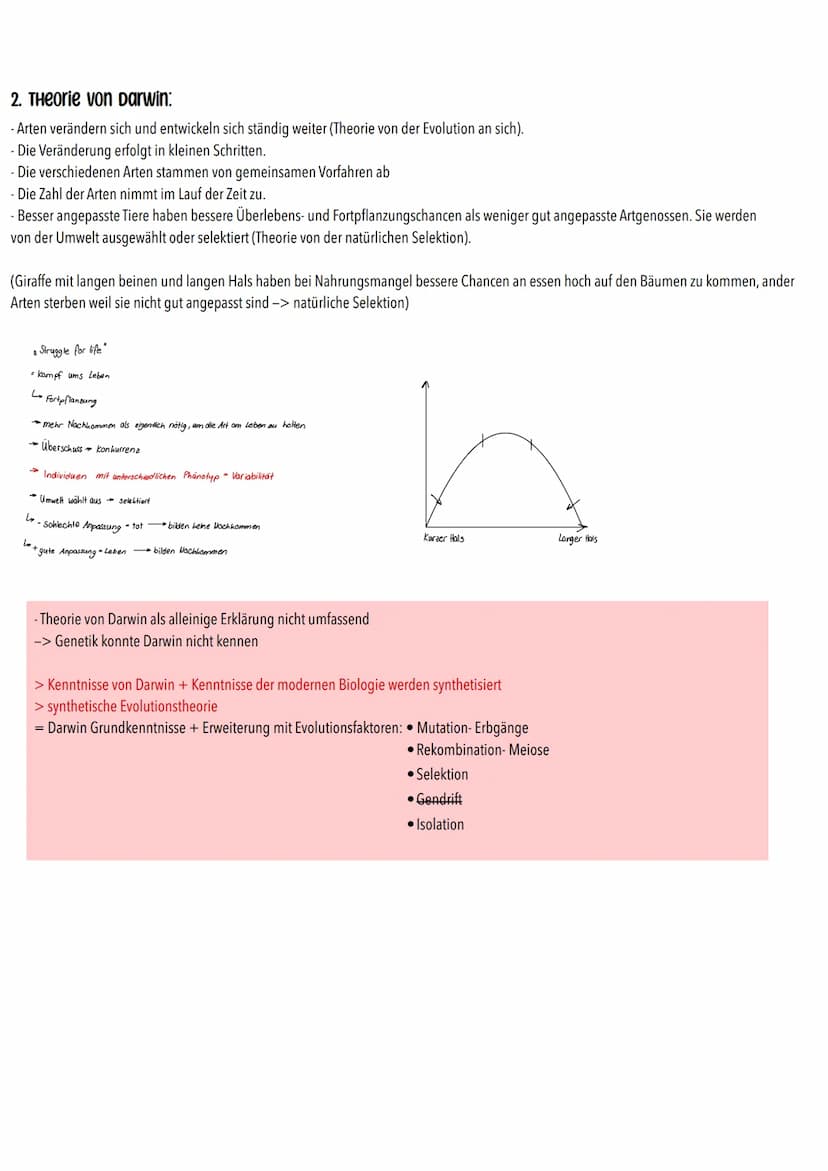 Mögliche Theorien zur Evolution
- Gott hat in 7 Tagen die Erde geschafften
-> alle Lebewesen
Entwicklung unterschiedlicher Theorien zur Ents