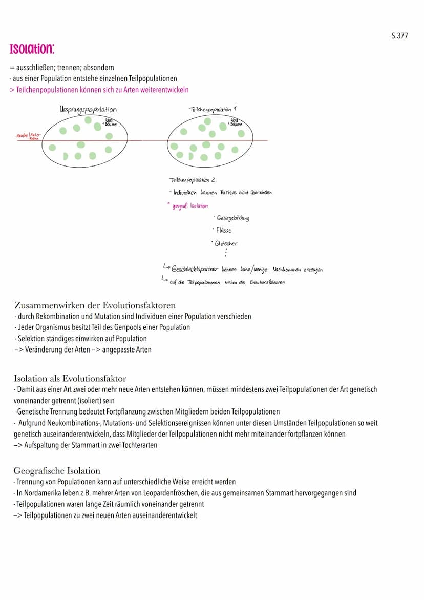 Mögliche Theorien zur Evolution
- Gott hat in 7 Tagen die Erde geschafften
-> alle Lebewesen
Entwicklung unterschiedlicher Theorien zur Ents