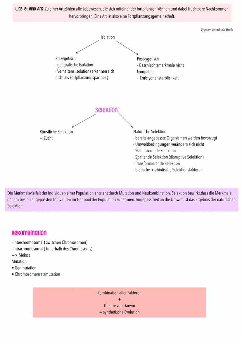 Mögliche Theorien zur Evolution
- Gott hat in 7 Tagen die Erde geschafften
-> alle Lebewesen
Entwicklung unterschiedlicher Theorien zur Ents