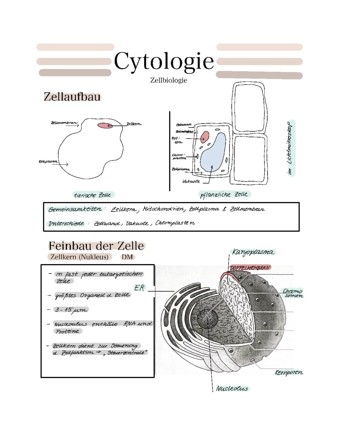 Zytologie