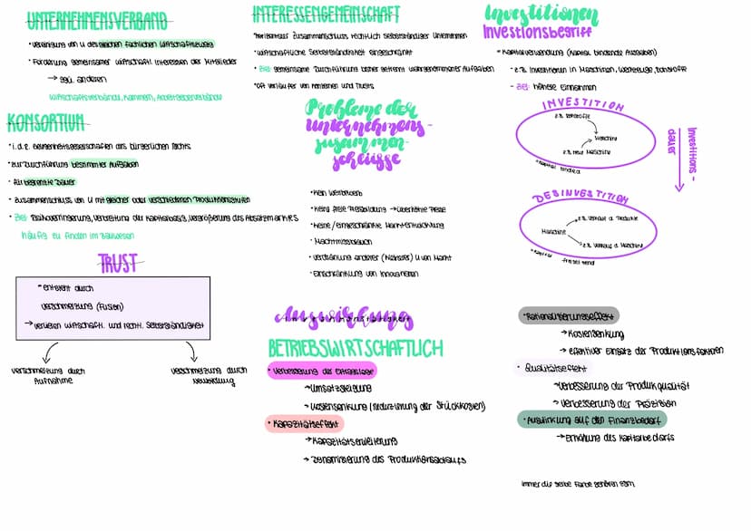 gründungsmotive
•Streben nach höherm Einkommen
• Erfolg / höheres Ansehen
•Eigenständigkeit unabhängigkeit
Innovative Idee umsetzen
unaufrie