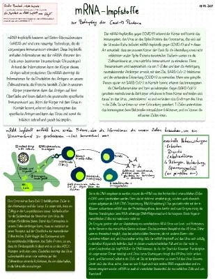 Know mRNA—Impfstoff  thumbnail