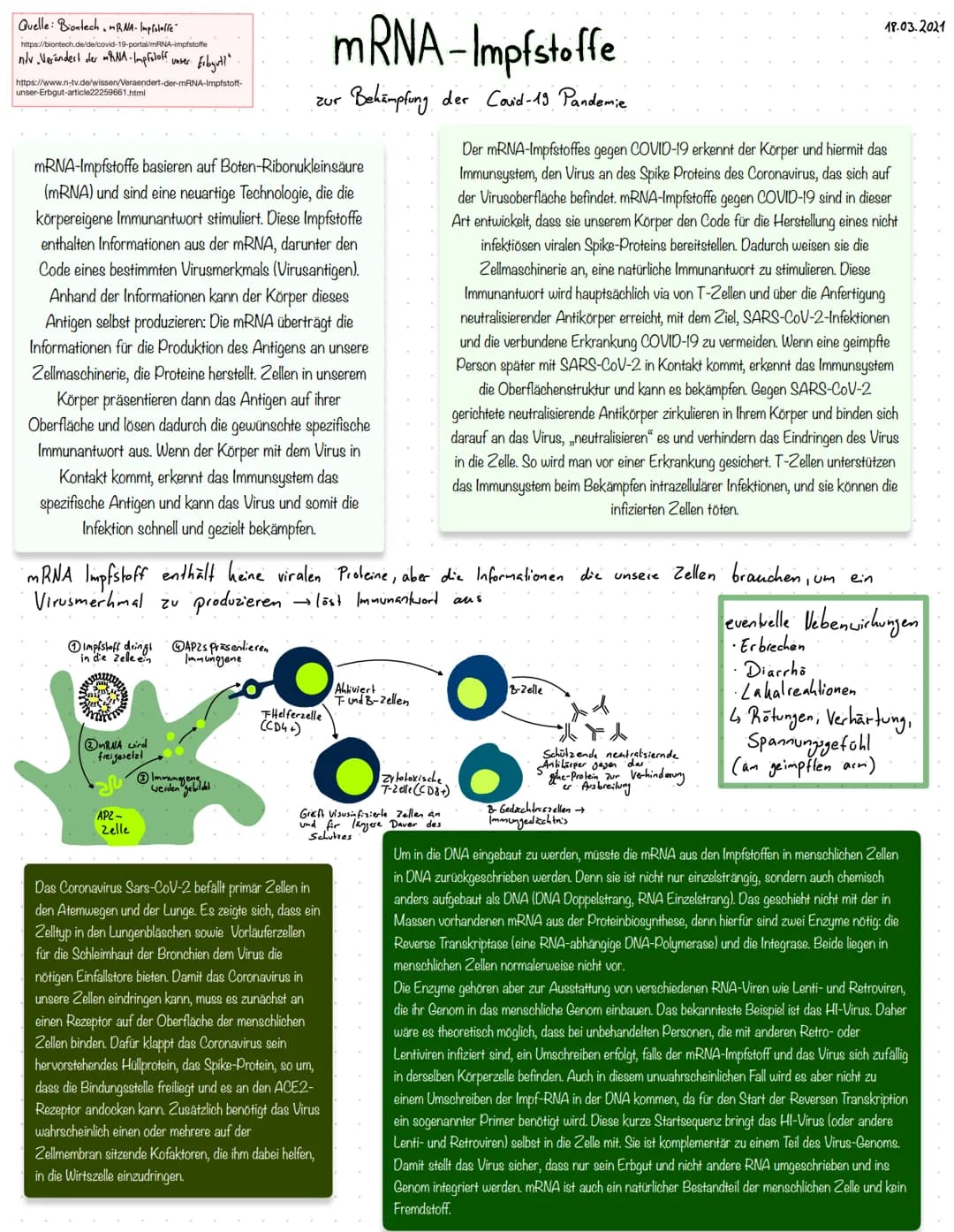 Quelle: Biontech, RNA- Impfslaffe
https://biontech.de/de/covid-19-portal/mRNA-impfstoffe
niv. Verändert der RNA- Impfoloff unser.
https://ww