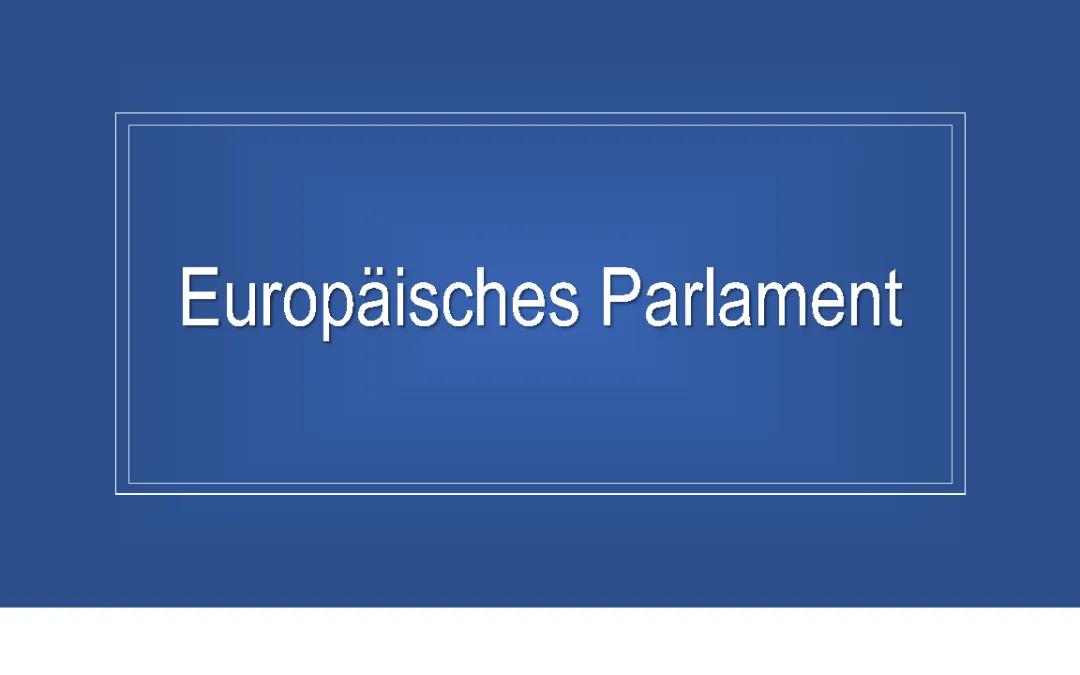 Europäisches Parlament Referat