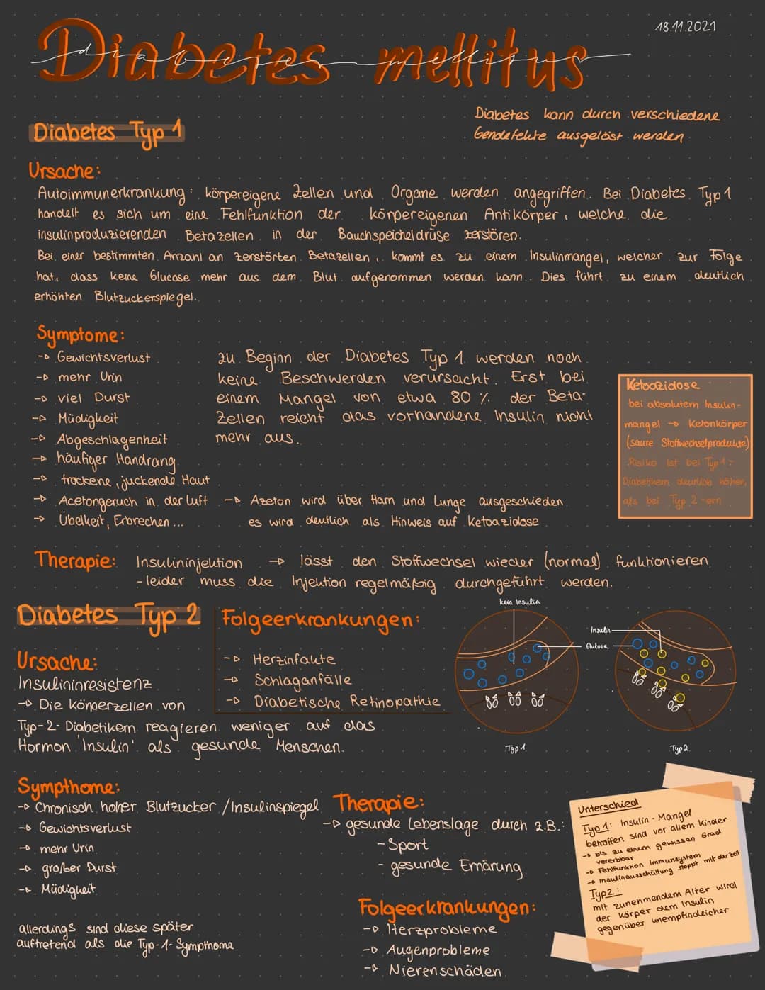 Diabetes mellitus
Diabetes Typ 1
Ursache:
Symptome:
Autoimmunerkrankung: körpereigene Zellen und Organe werden angegriffen. Bei Diabetes. Ty