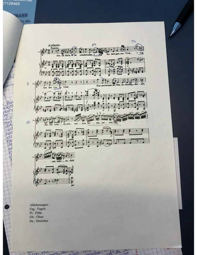X
How
+|||||||||||||||||||||hean TEREN
Kursort:
This
RRULL44444.
g-moll
W. A. Mozart: Die Zauberflöte
Arie ,,Ach, ich fühl's, es ist verschw