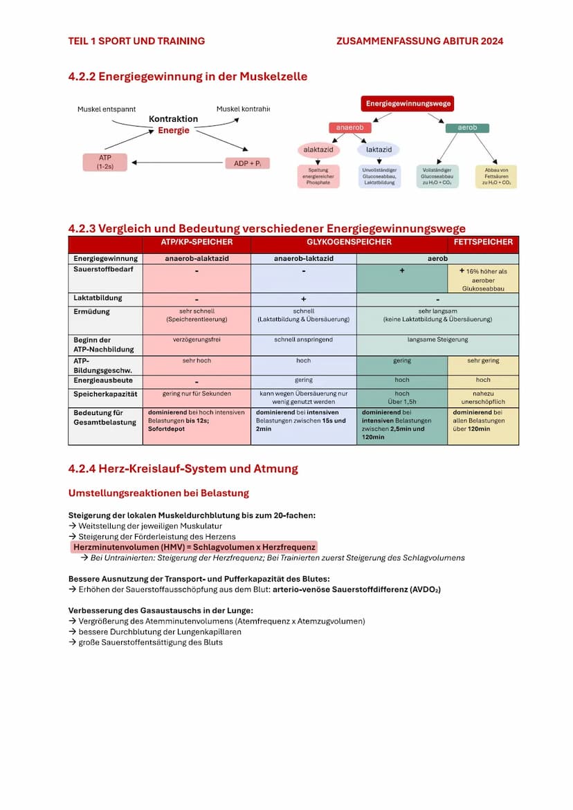 TEIL 1 SPORT UND TRAINING
4. AUSDAUER
ZUSAMMENFASSUNG ABITUR 2024
Im Sport und auch allgemein versteht man unter Ausdauer die physische und 