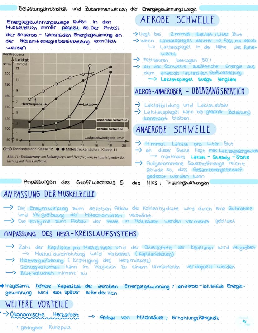 AUSDAUER
1.Lohnt sich Ausdauertraining?
Aus dauer als physischer Leistungsfaktor im Sport muss sehr spezifisch ausgeprägt sein, damit eine s