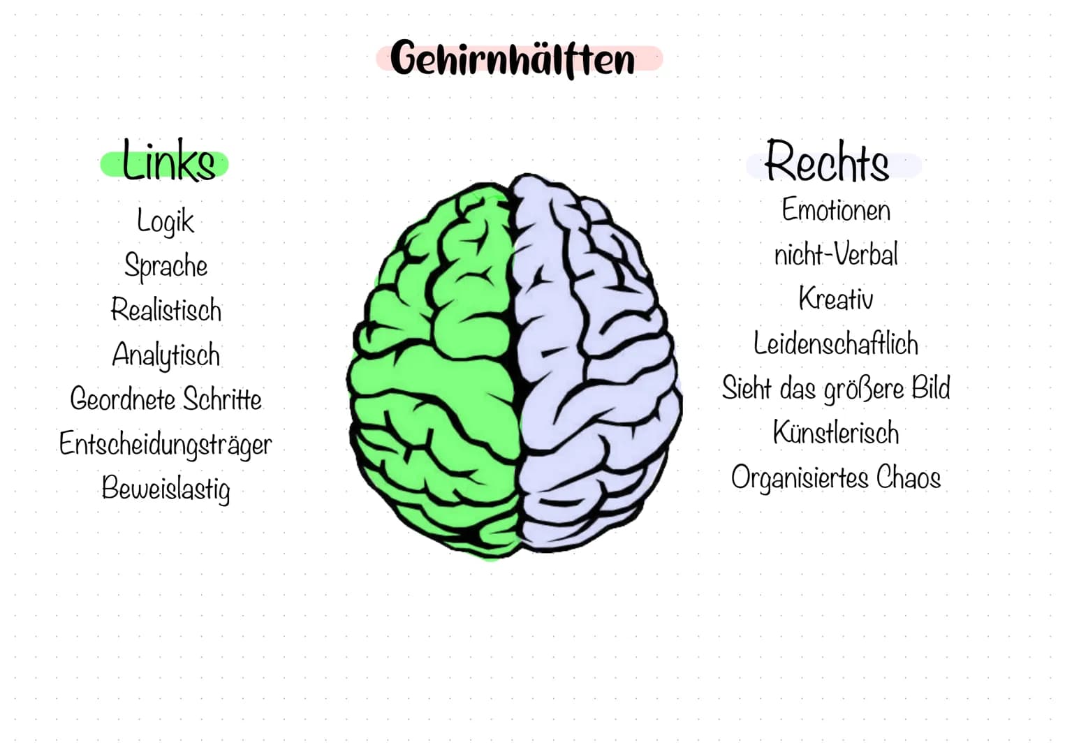 Großhirn-
Zwischenhirn
Thalamus
Hypothalamus-
Hypophyse.
Das Gehirn
Balken
Rückenmark
Hirnrinde
Stammhirn
Mittelhirn
Brücke
-Nachhirn
Kleinh