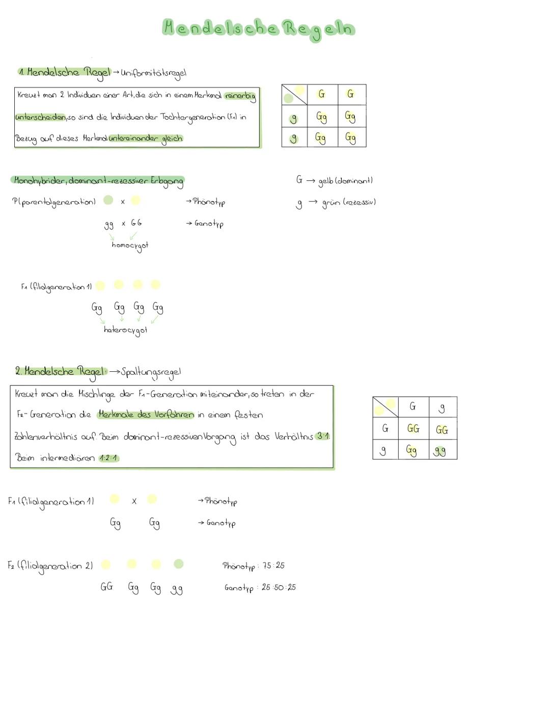 # Handelscha Ragen

1. Mendelsche Regel Uniformitätsregel

Kreuzt man 2 Individuen einer Art, die sich in einem Herkmal rainerbig

untersche
