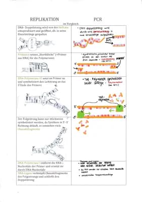 Know Replikation vs PCR thumbnail