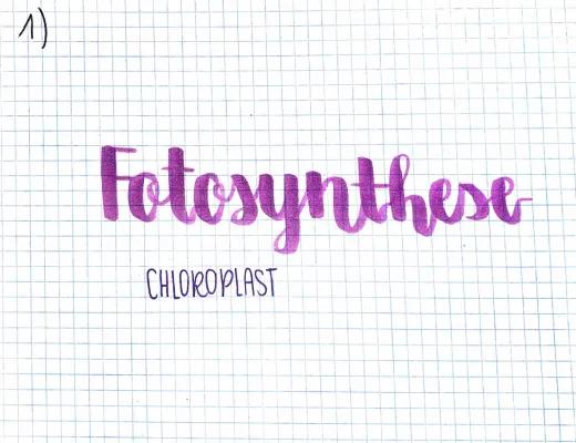 Know Fotosynthese, Chemosynthese Karteikartem thumbnail