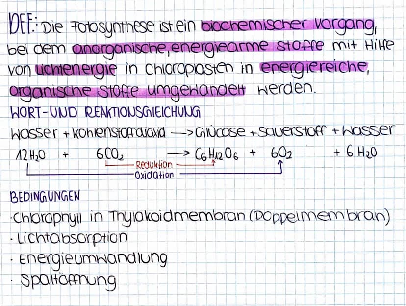 1)
Fotosynthese
CHLOROPLAST AUFBAU CHLOROPLAST
innenmembr.
außenmembr.
-Doppelmembran (Thyla koid membran)
Ribosomen
plastiden DNA (ringförm