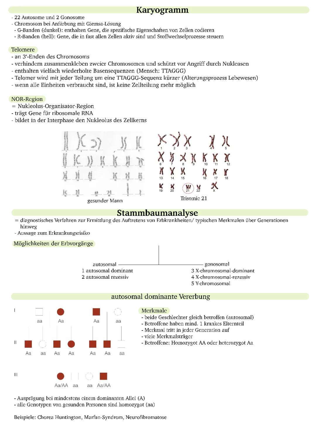 Arbeitstechniken der Humangenetik