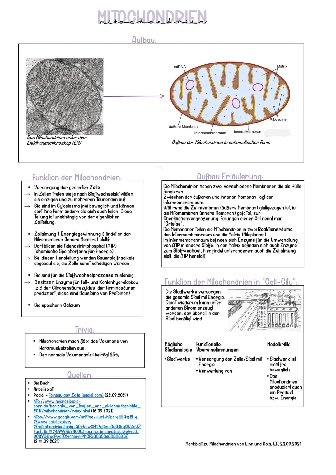 Das Milochondrium unler dem
Elektronenmikroskop (EM)
.
Funktion der Mitochondrien:
Versorgung der gesamten Zelle
In Zellen treten sie je nac