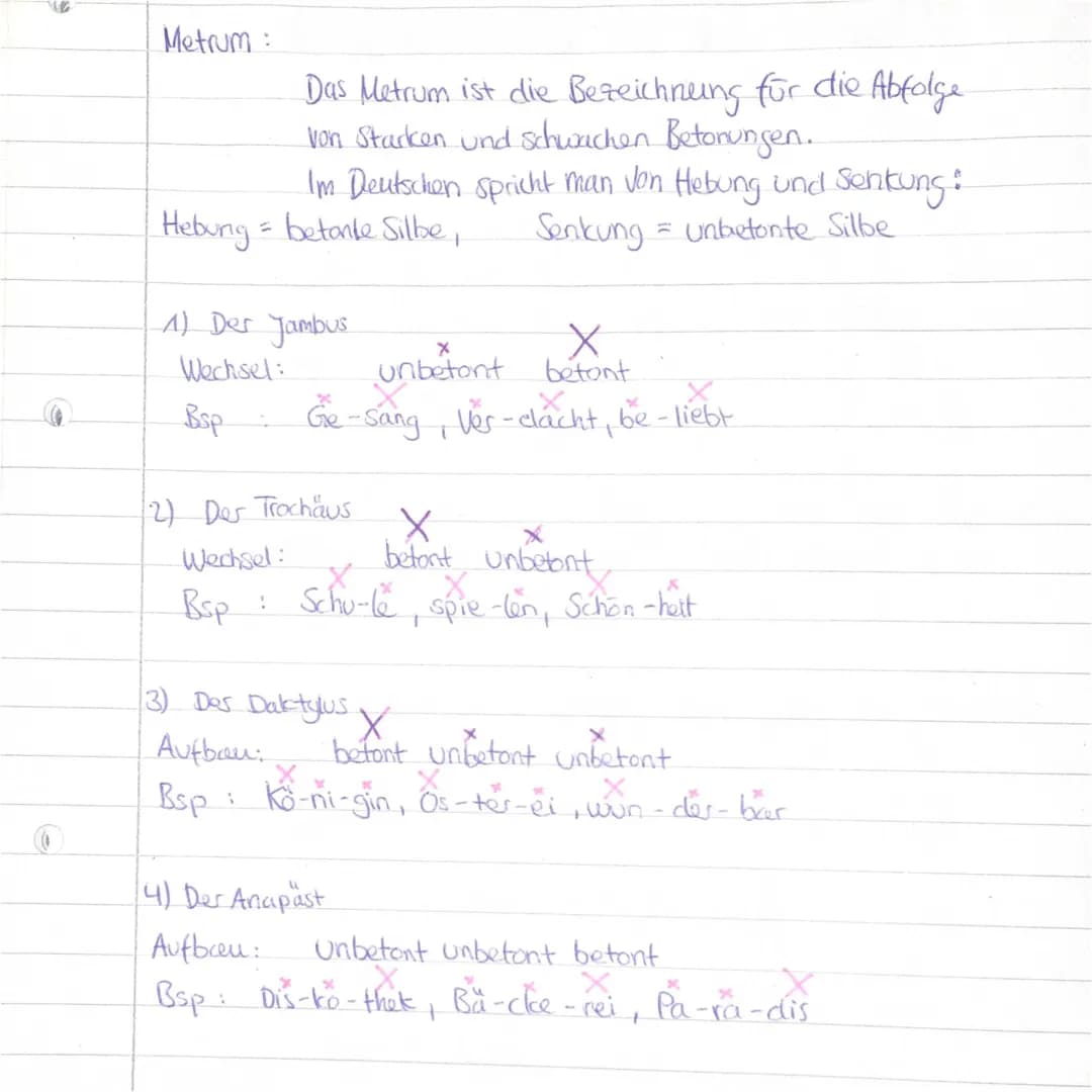 das Metrum
