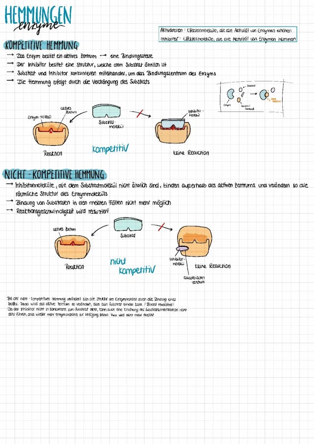 Know Hemmungen Enzyme thumbnail