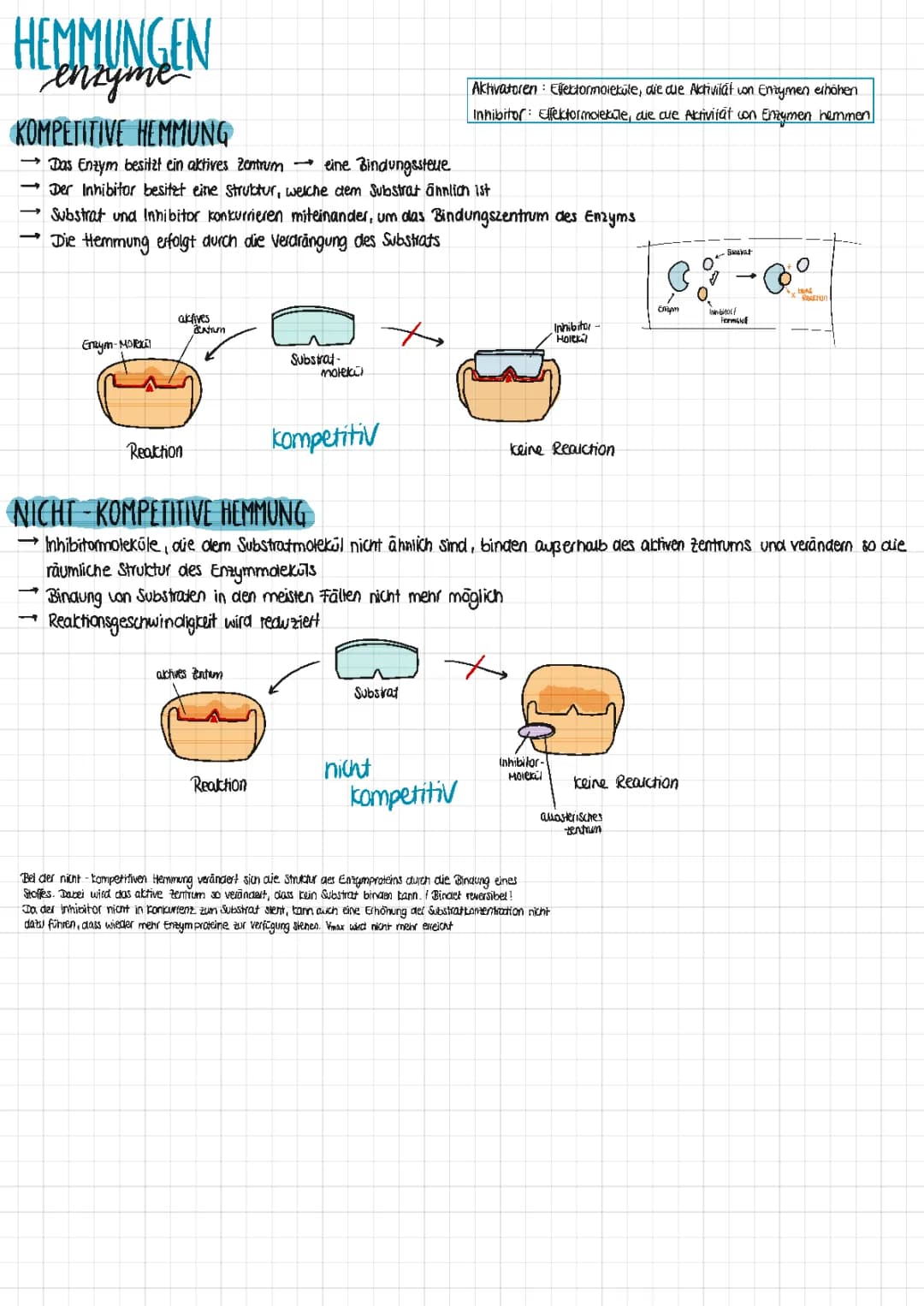 Hemmungen Enzyme