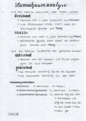Know Stammbaumanalyse thumbnail