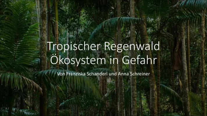 Know Tropischer Regenwald thumbnail