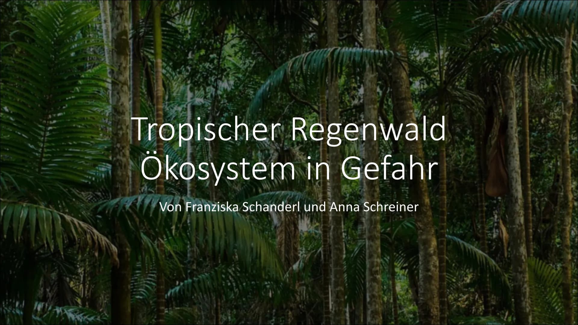 Tropischer Regenwald
Ökosystem in Gefahr
Von Franziska Schanderl und Anna Schreiner Gliederung:
●
●
●
Regenwaldtypen
Abiotische Faktoren
Gef