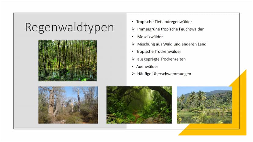 Tropischer Regenwald
Ökosystem in Gefahr
Von Franziska Schanderl und Anna Schreiner Gliederung:
●
●
●
Regenwaldtypen
Abiotische Faktoren
Gef