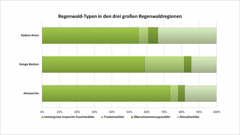 Tropischer Regenwald
Ökosystem in Gefahr
Von Franziska Schanderl und Anna Schreiner Gliederung:
●
●
●
Regenwaldtypen
Abiotische Faktoren
Gef