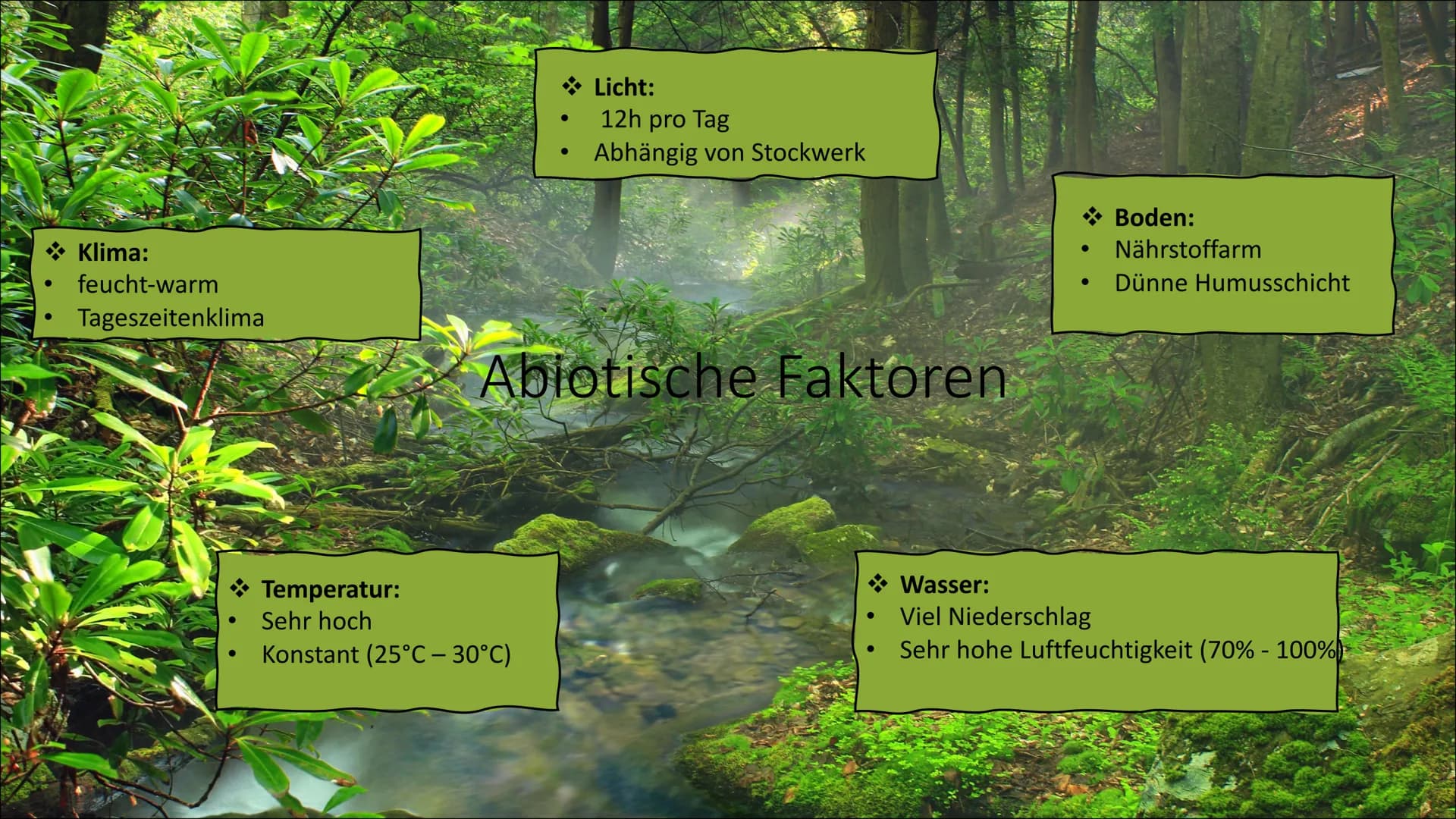 Tropischer Regenwald
Ökosystem in Gefahr
Von Franziska Schanderl und Anna Schreiner Gliederung:
●
●
●
Regenwaldtypen
Abiotische Faktoren
Gef