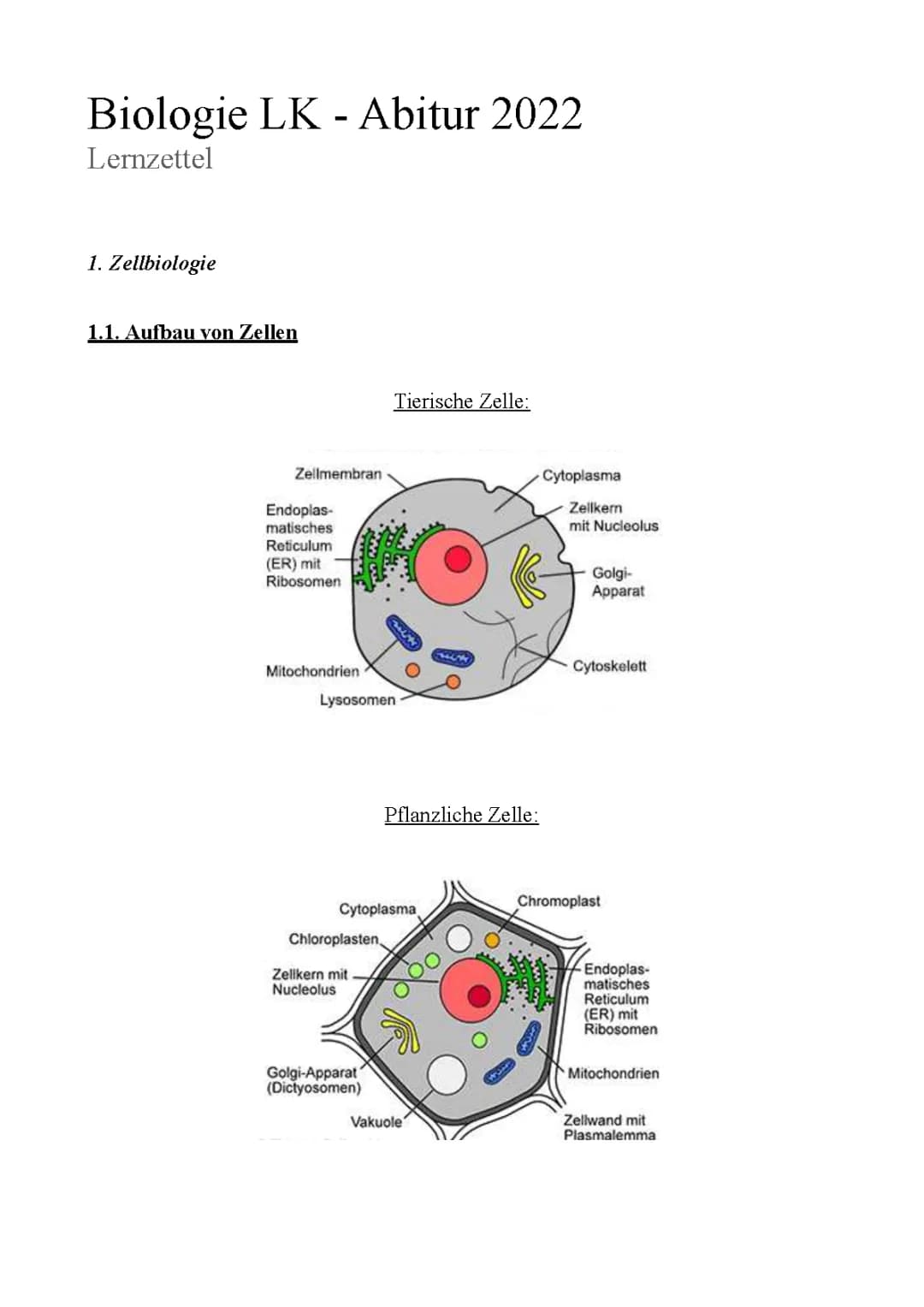 Abitur Lernzettel: Dissimilation & Assimilation 