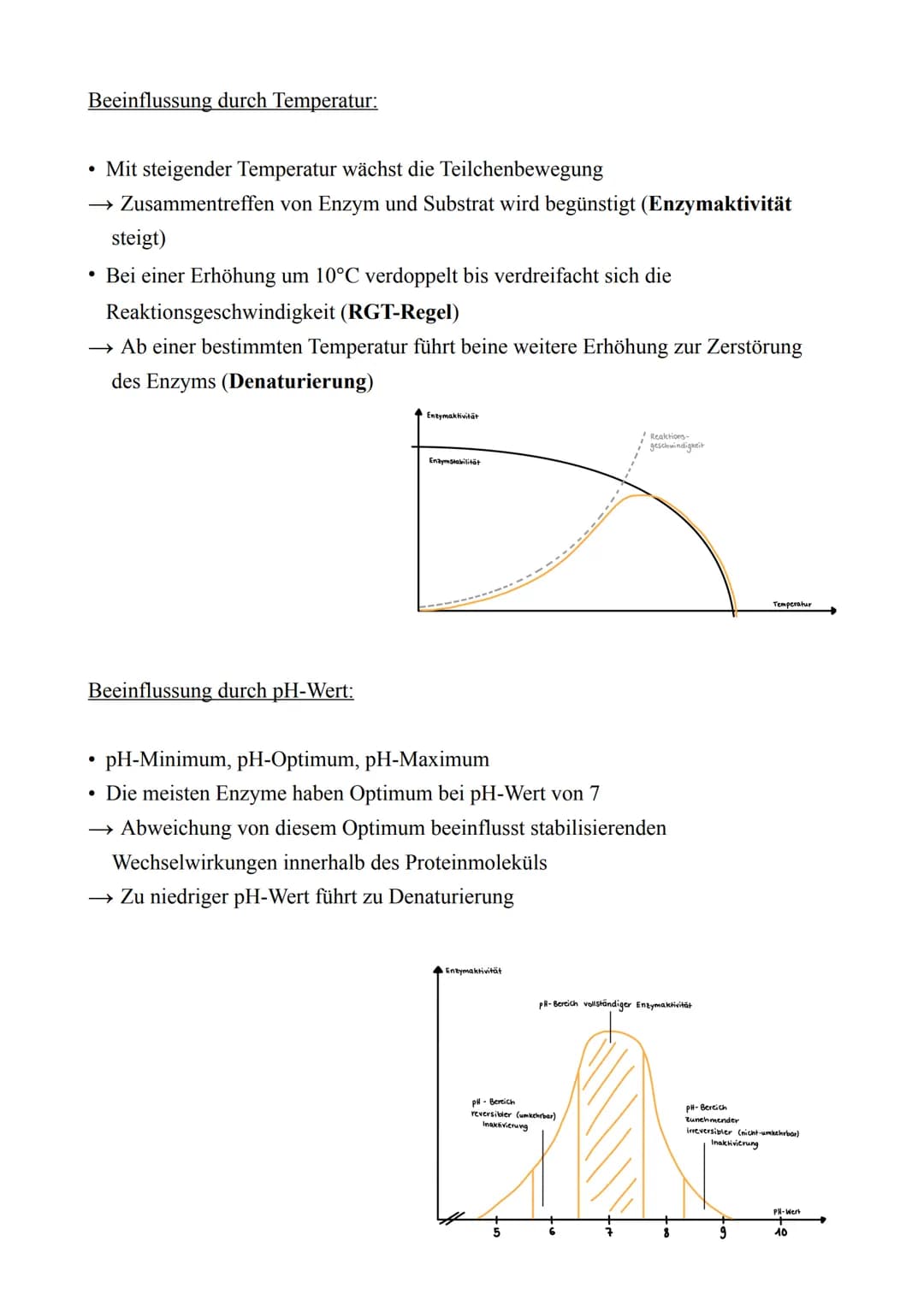 Biologie LK - Abitur 2022
Lernzettel
1. Zellbiologie
1.1. Aufbau von Zellen
Zellmembran
Endoplas-
matisches
Reticulum
(ER) mit
Ribosomen
Mit
