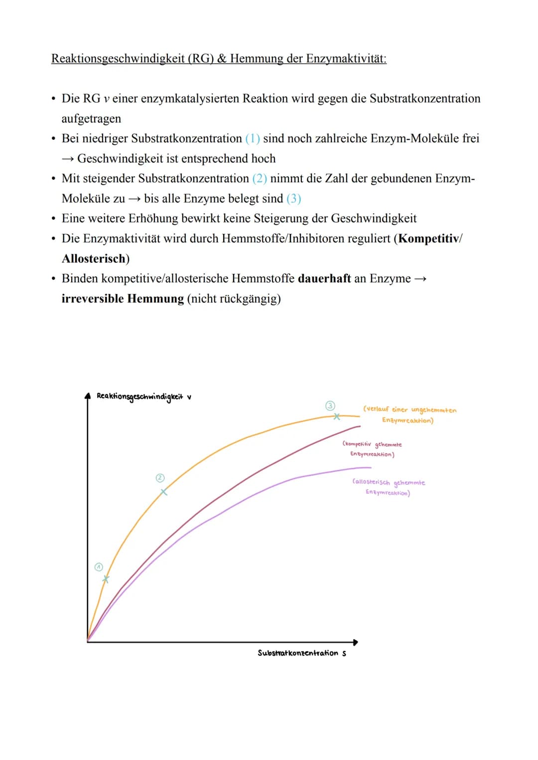 Biologie LK - Abitur 2022
Lernzettel
1. Zellbiologie
1.1. Aufbau von Zellen
Zellmembran
Endoplas-
matisches
Reticulum
(ER) mit
Ribosomen
Mit