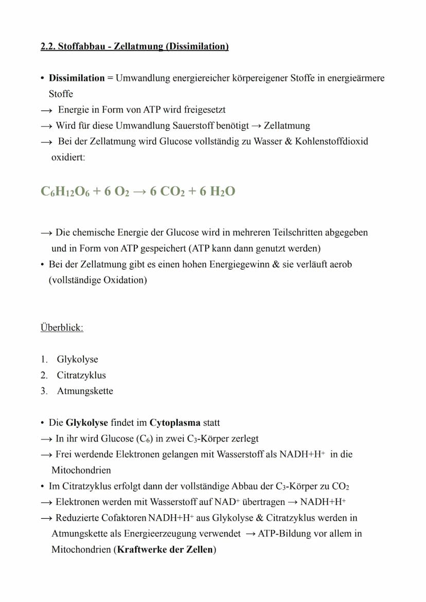 Biologie LK - Abitur 2022
Lernzettel
1. Zellbiologie
1.1. Aufbau von Zellen
Zellmembran
Endoplas-
matisches
Reticulum
(ER) mit
Ribosomen
Mit
