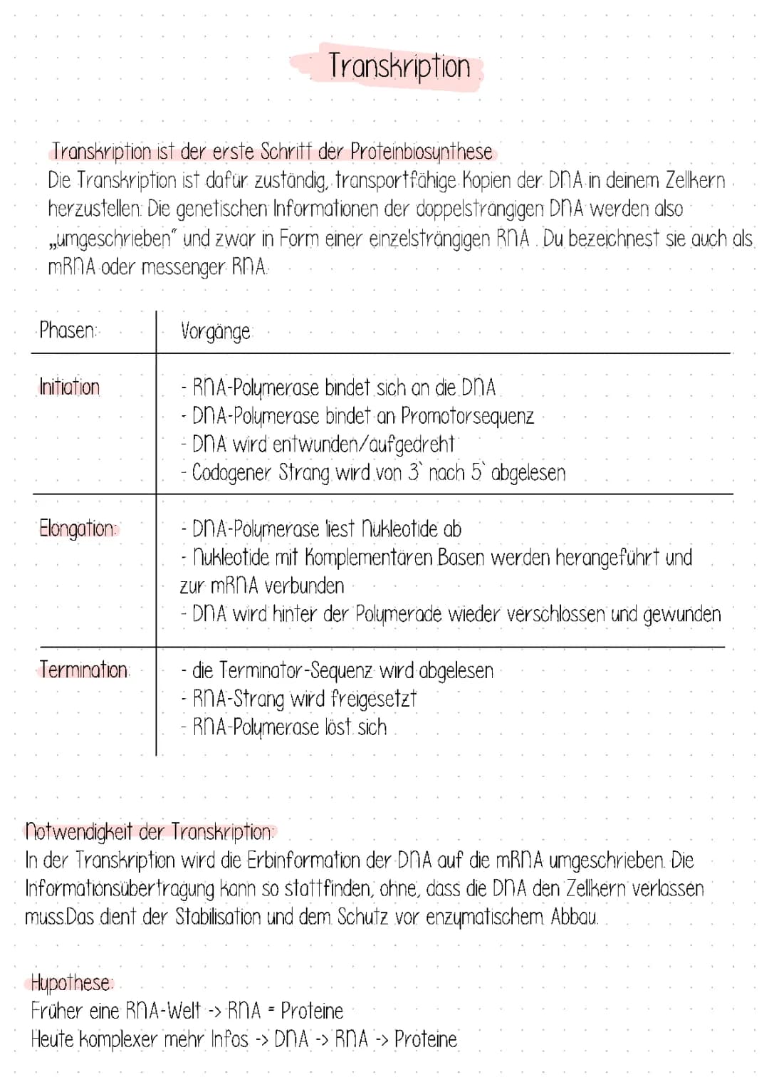 Transkription 