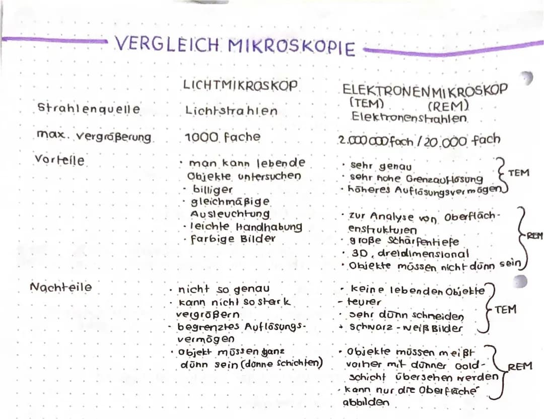Vergleich Licht-und Elektronenmikroskopie