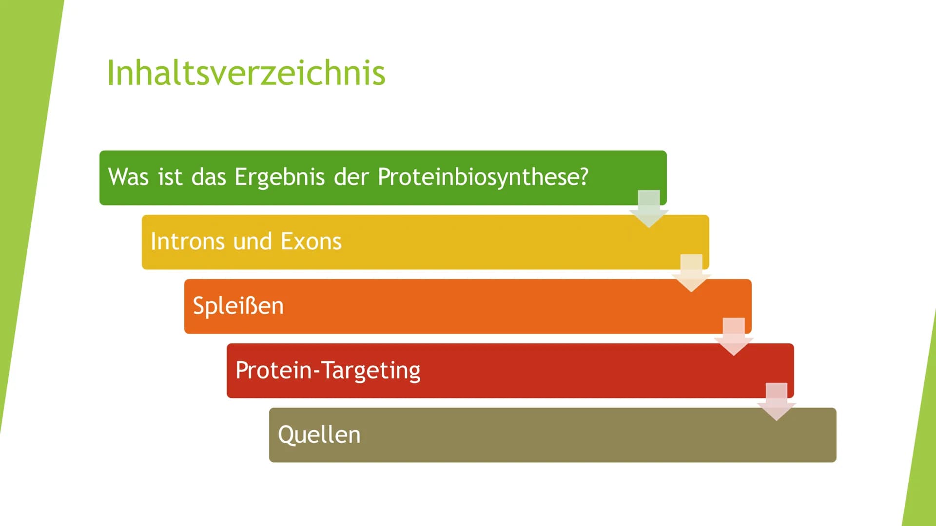 Besonderheiten der
Proteinbiosynthese
bei Eukaryoten Inhaltsverzeichnis
Was ist das Ergebnis der Proteinbiosynthese?
Introns und Exons
Splei