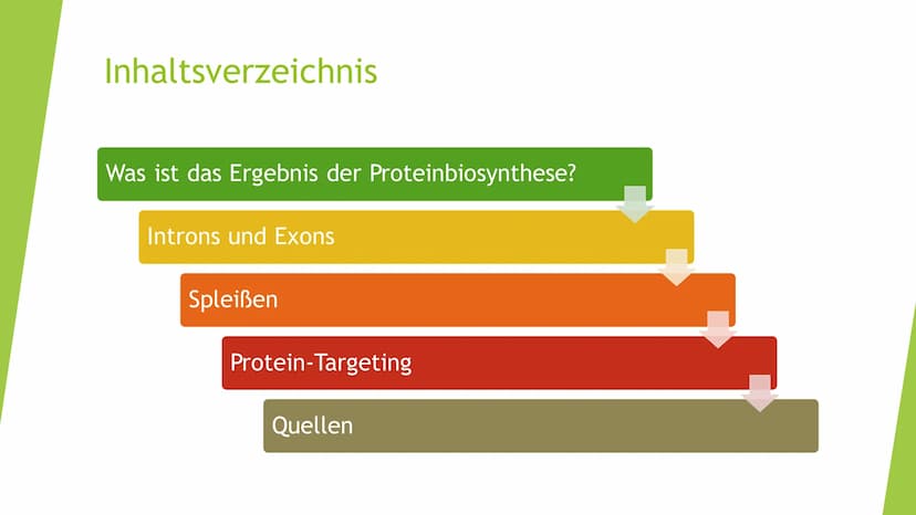 Besonderheiten der
Proteinbiosynthese
bei Eukaryoten Inhaltsverzeichnis
Was ist das Ergebnis der Proteinbiosynthese?
Introns und Exons
Splei