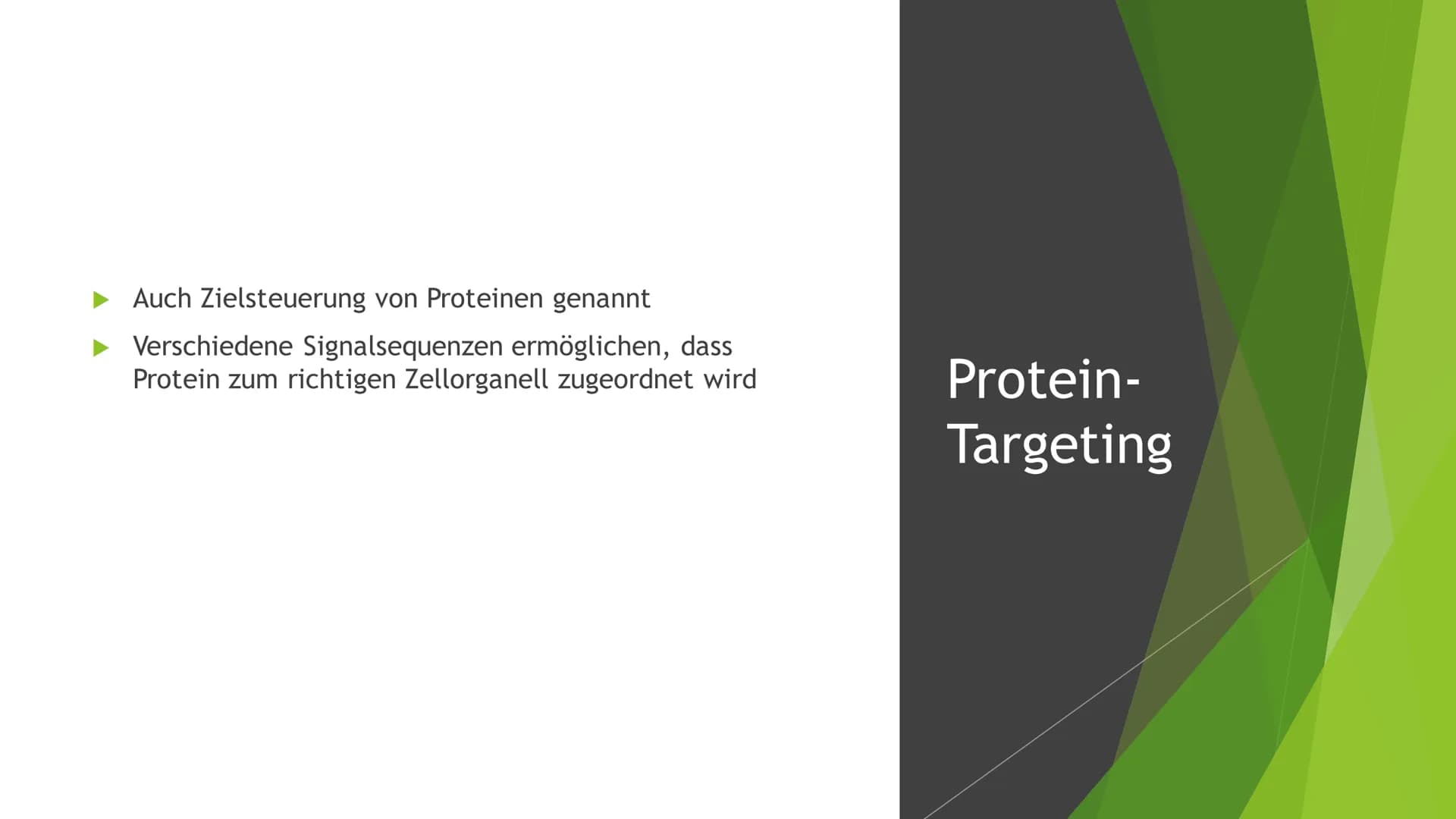 Besonderheiten der
Proteinbiosynthese
bei Eukaryoten Inhaltsverzeichnis
Was ist das Ergebnis der Proteinbiosynthese?
Introns und Exons
Splei