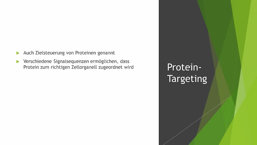 Besonderheiten der
Proteinbiosynthese
bei Eukaryoten Inhaltsverzeichnis
Was ist das Ergebnis der Proteinbiosynthese?
Introns und Exons
Splei