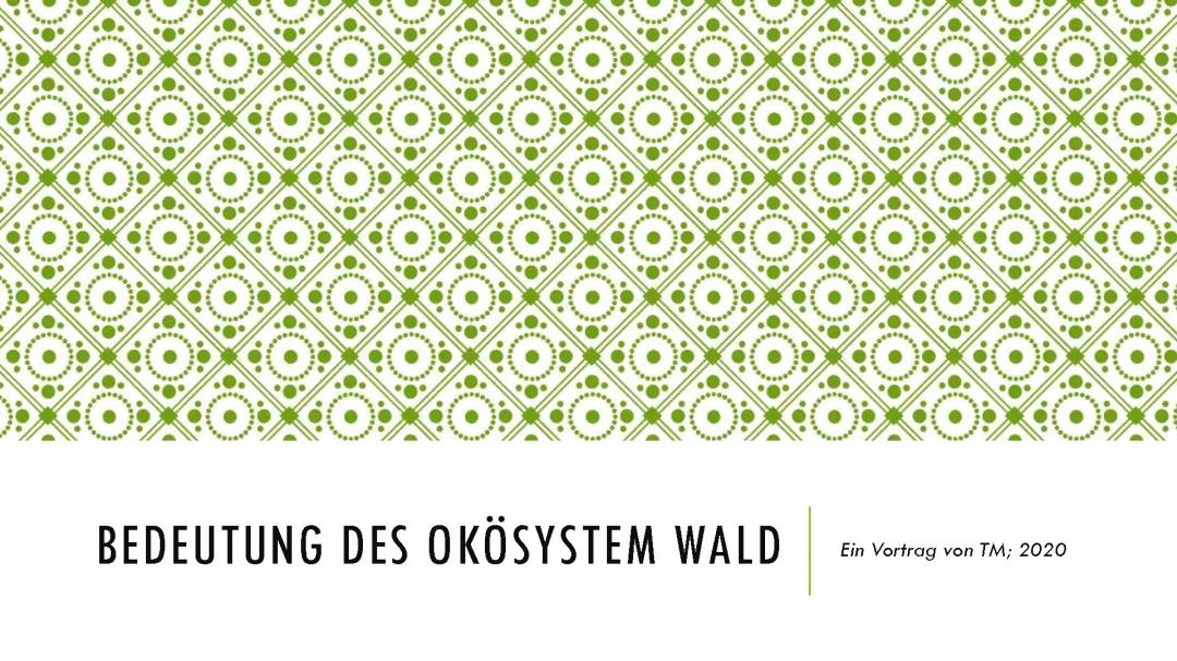 Die Bedeutung und das Ökosystem des Waldes: Arbeitsblätter für die Grundschule