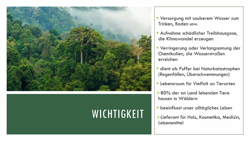1. Grundlagen
Definition:
Ökosystem: Beziehungsgefüge zwischen Biotop und Biozönose
Wald: Biotop →→→ Lebensraum für Lebewesen
Wichtigkeit:
2