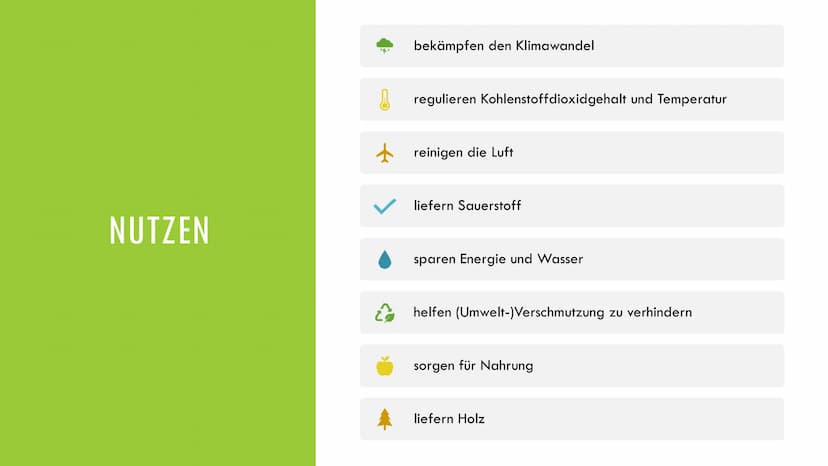 1. Grundlagen
Definition:
Ökosystem: Beziehungsgefüge zwischen Biotop und Biozönose
Wald: Biotop →→→ Lebensraum für Lebewesen
Wichtigkeit:
2