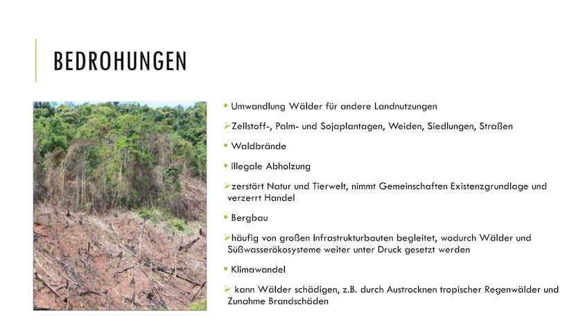 1. Grundlagen
Definition:
Ökosystem: Beziehungsgefüge zwischen Biotop und Biozönose
Wald: Biotop →→→ Lebensraum für Lebewesen
Wichtigkeit:
2